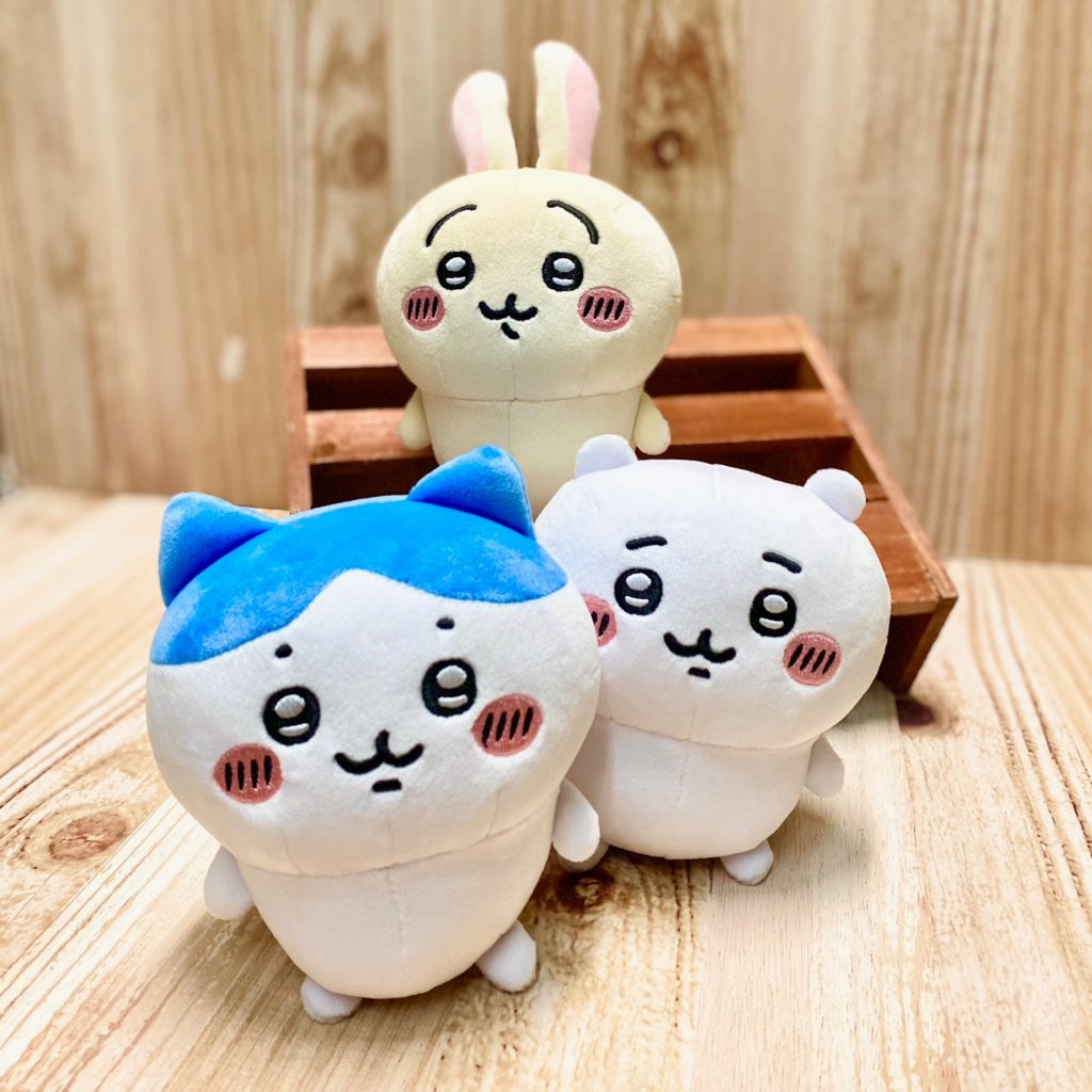 6月4日(土)発売‼️ ＼✨新商品のお知らせ✨／ 6月4日(土)より #ちい