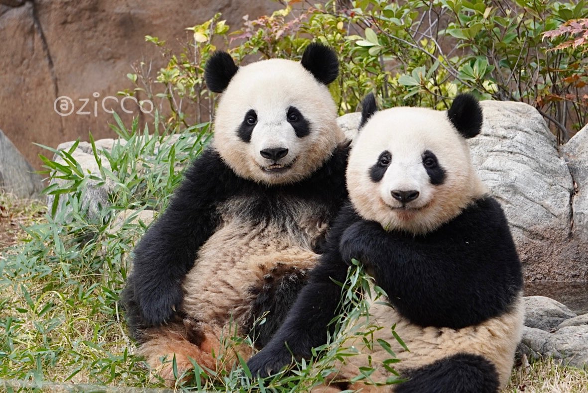 Fr0CbPkaUAA5vuK.jpg?format=jpg