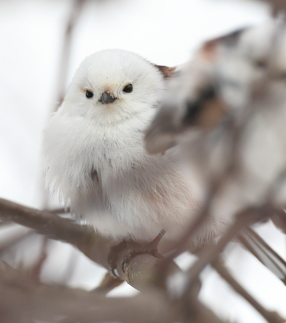 きょうなにしてた？