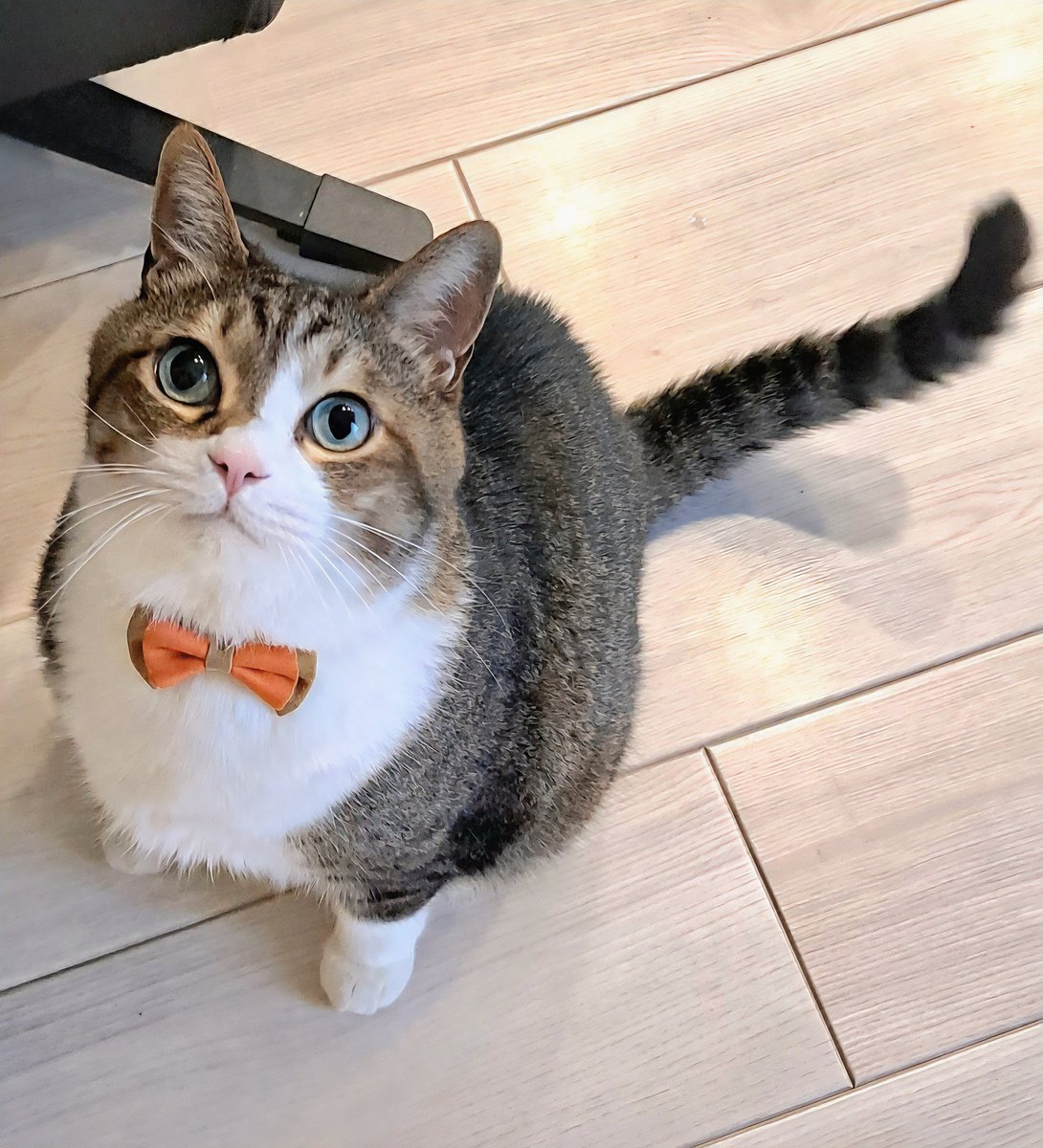 kazu✨ (@kazu0729f) / Posts / X