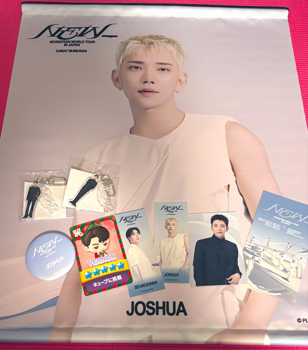 SEVENTEEN セブチ NEW タペストリー ジュン 文化祭 輪投げ わなげ