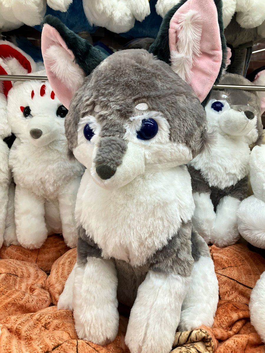 プライズ】新景品🌟「アマテラスのオオカミウルトラBIG」が登場いたし