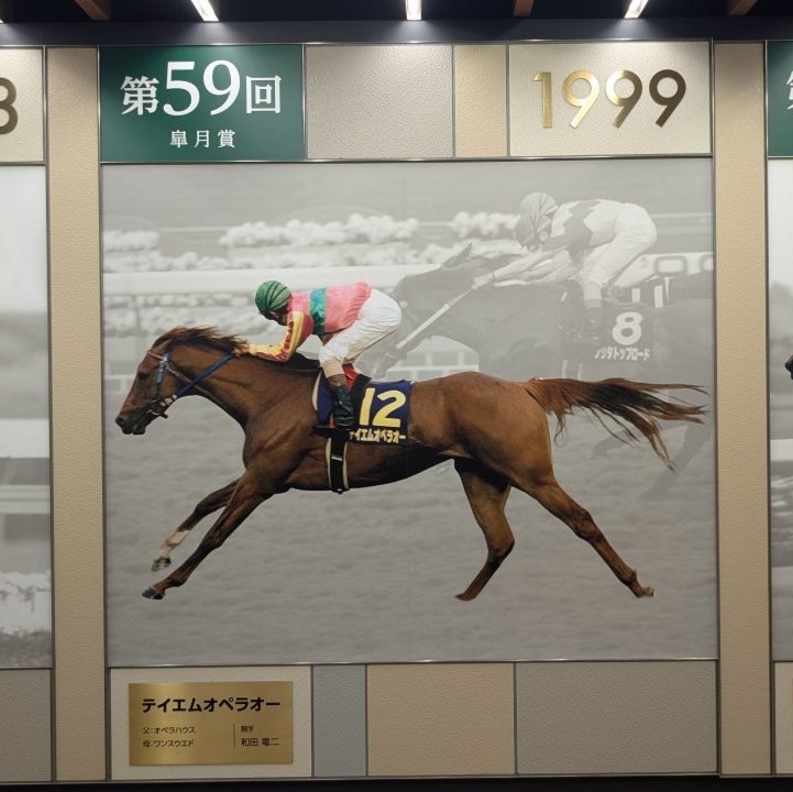 超希少】現地単勝 1999年皐月賞 テイエムオペラオー 100円 1999年 皐月