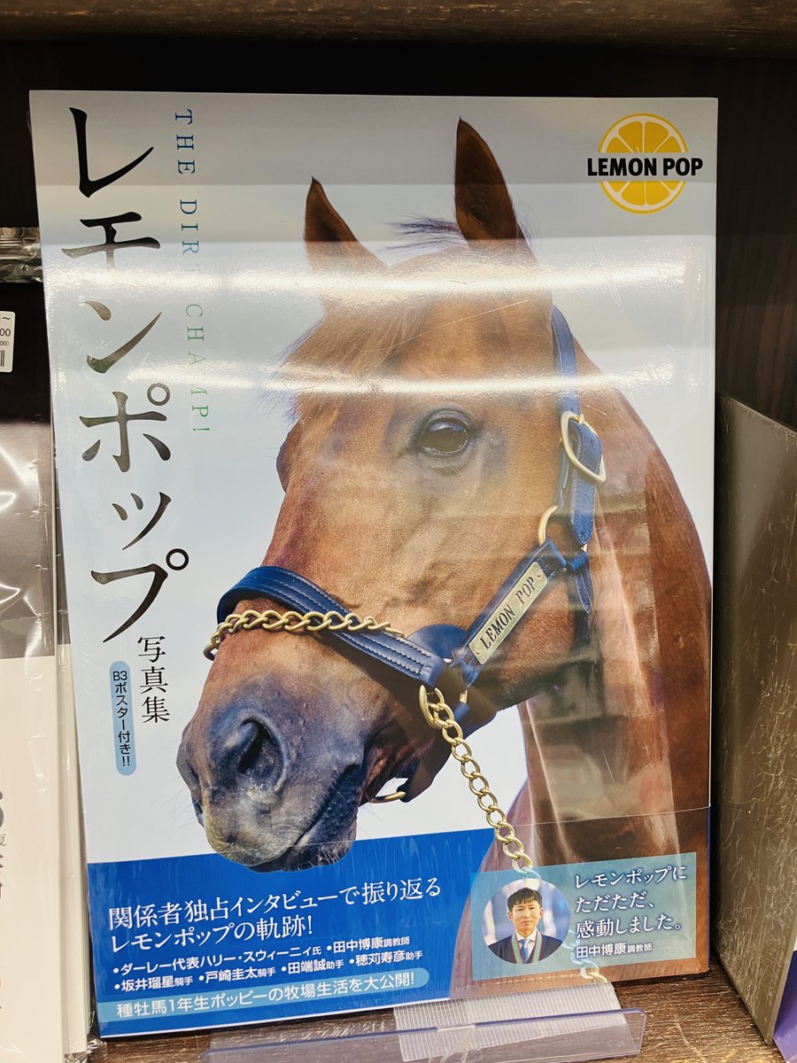 BF/競馬🏇］ ☆新刊入荷☆ 『レモンポップ写真集 THE DIRT CHAMP