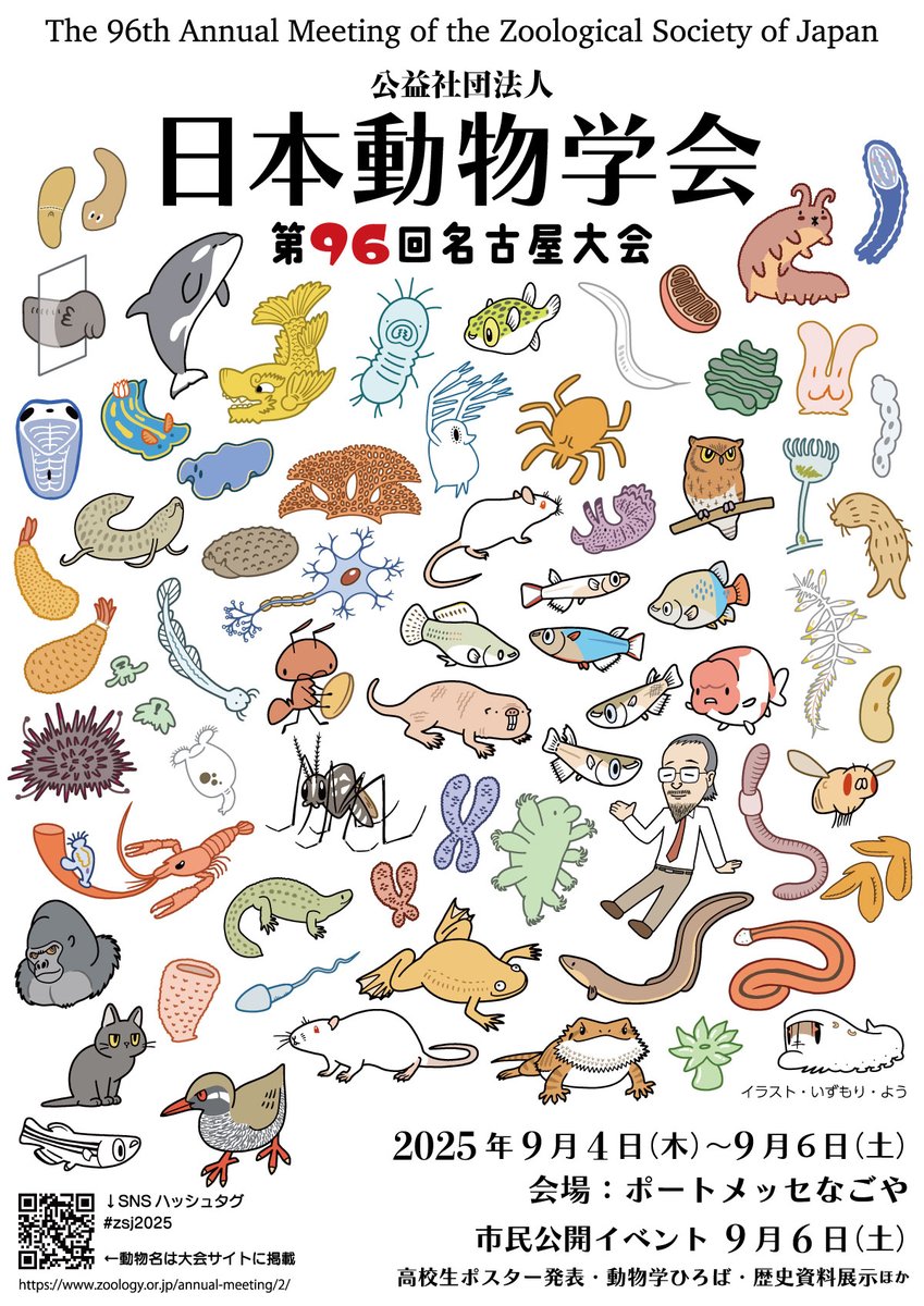 動物系統分類学』 Systematic Zoology Comprehensive Guide t (@nkymzd