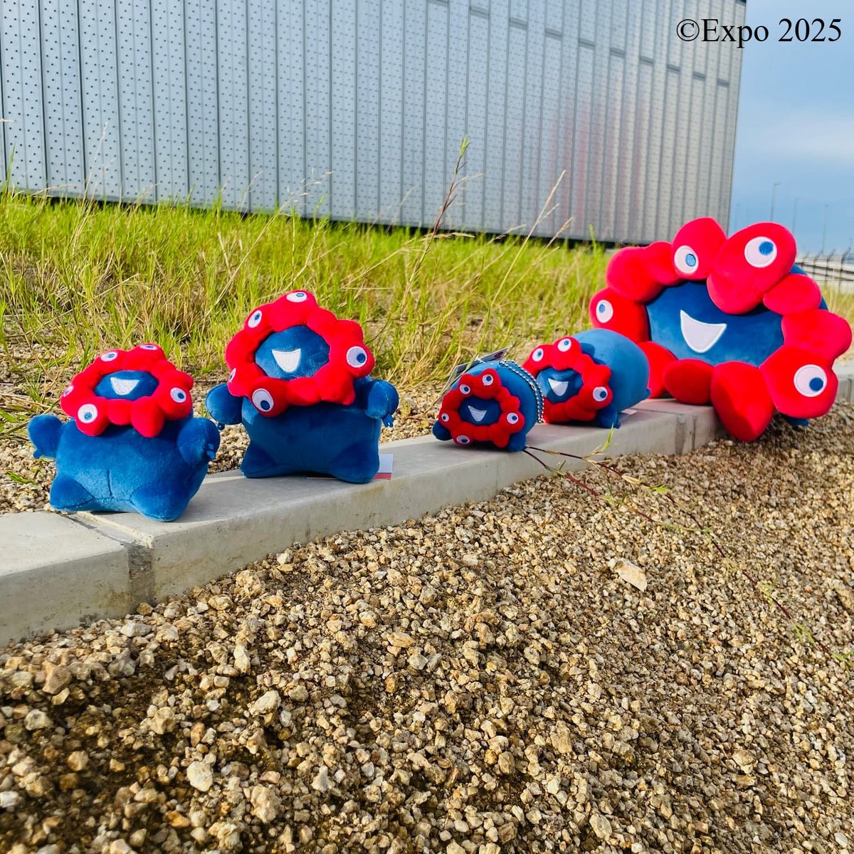 東ゲート店 MARUZEN JUNKUDO 🕘9/14(日)開店しました #EXPO2025