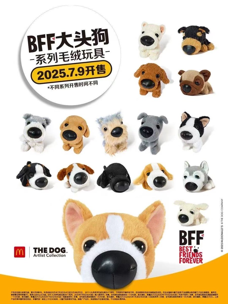 🐶 Starting Today🐶 THE DOG Campaign has officially kicked off at