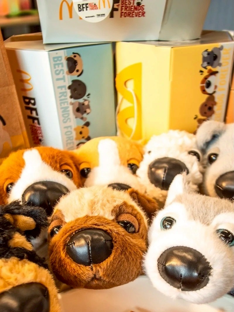 🐶 Starting Today🐶 THE DOG Campaign has officially kicked off at