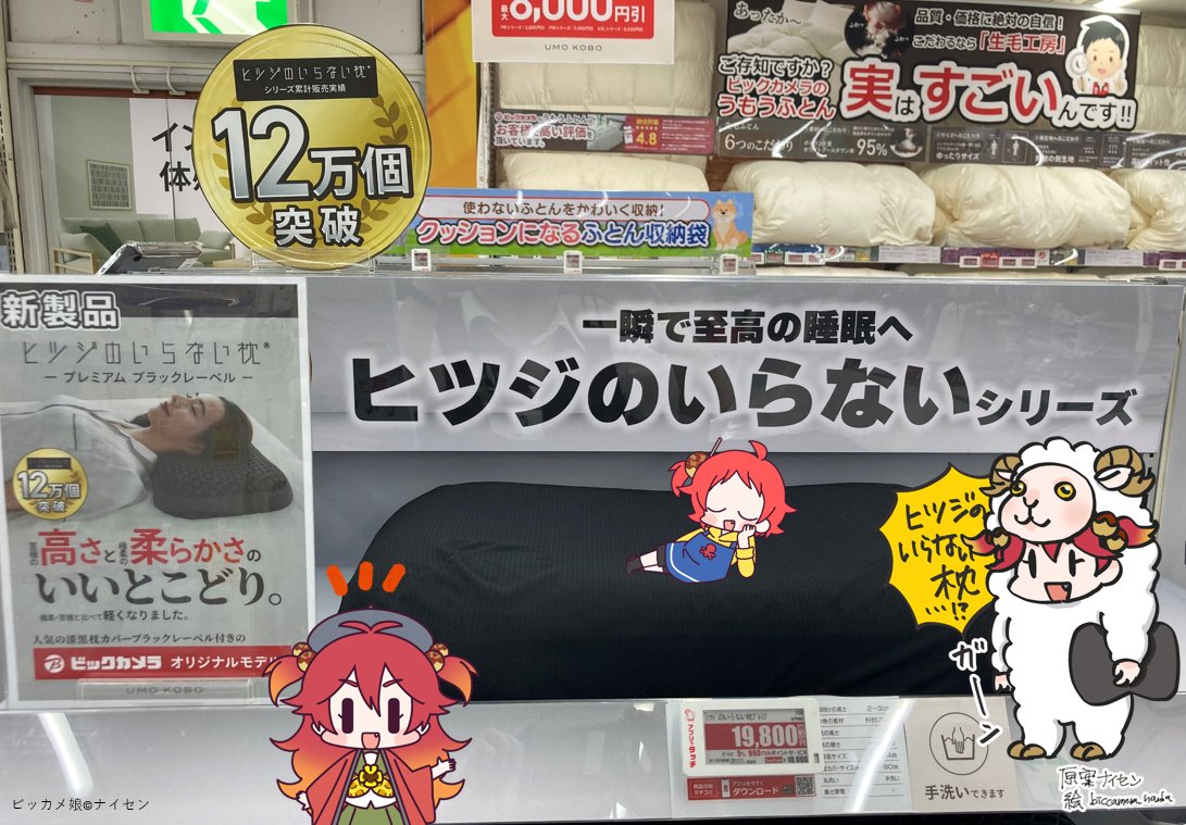 新商品／ 「ヒツジのいらない枕」シリーズ🐑💤 『ヒツジのいらない枕