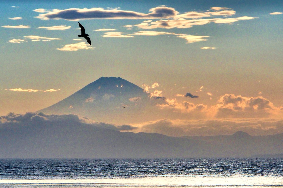 三浦半島小網代からの富士山は、一番綺麗な富士山の一つ。 毎日が
