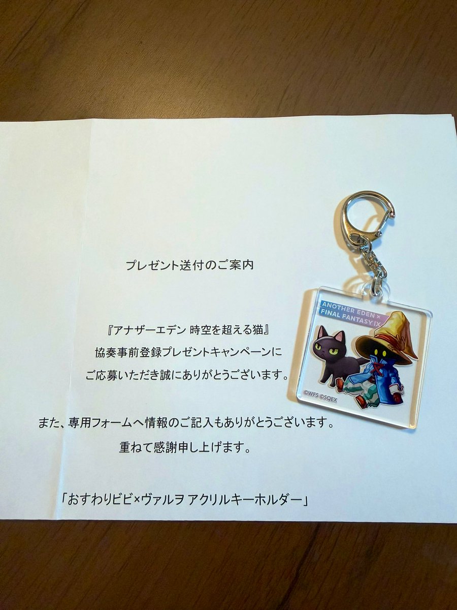 ビビとヴァルヲのキーホルダー届いてました｡ﾟ+.( °∀°)ﾟ+.ﾟかわいい