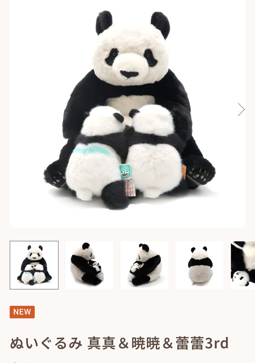 気になっていた親子パンダのぬいぐるみが通販にて復活🥹 本日から店頭