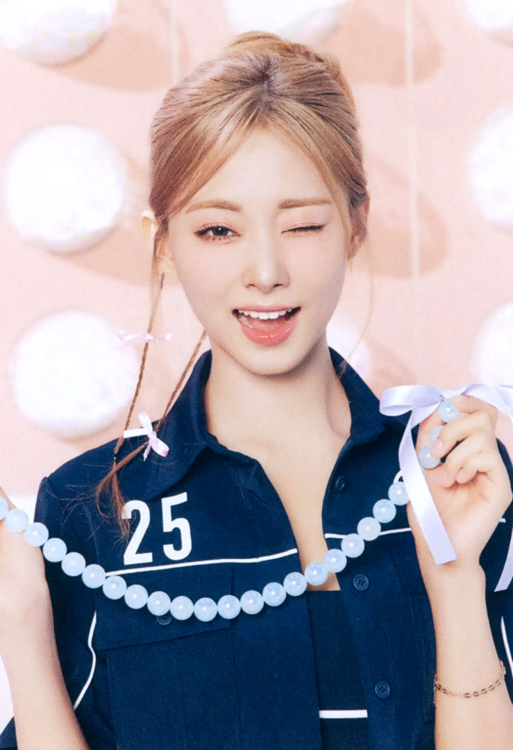 SCAN] TWICE JAPAN Season's Greetings 2025 'BIRTHDAY365' - Diary