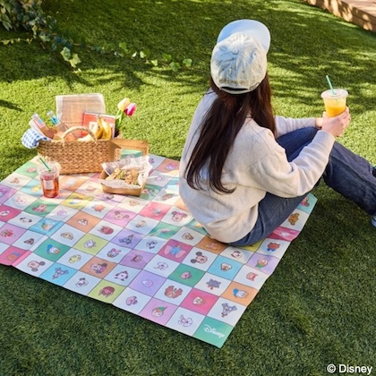 📖新着ムック本 ローソン・HMV限定！Disney Charactersの折りたたみ