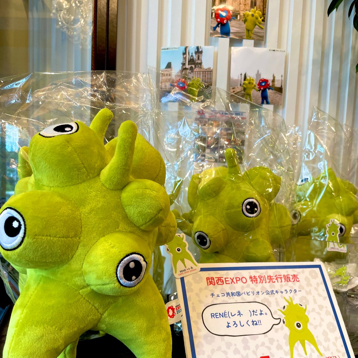 こちらレネぬいぐるみは好評につき完売いたしました。 カフェでの次回