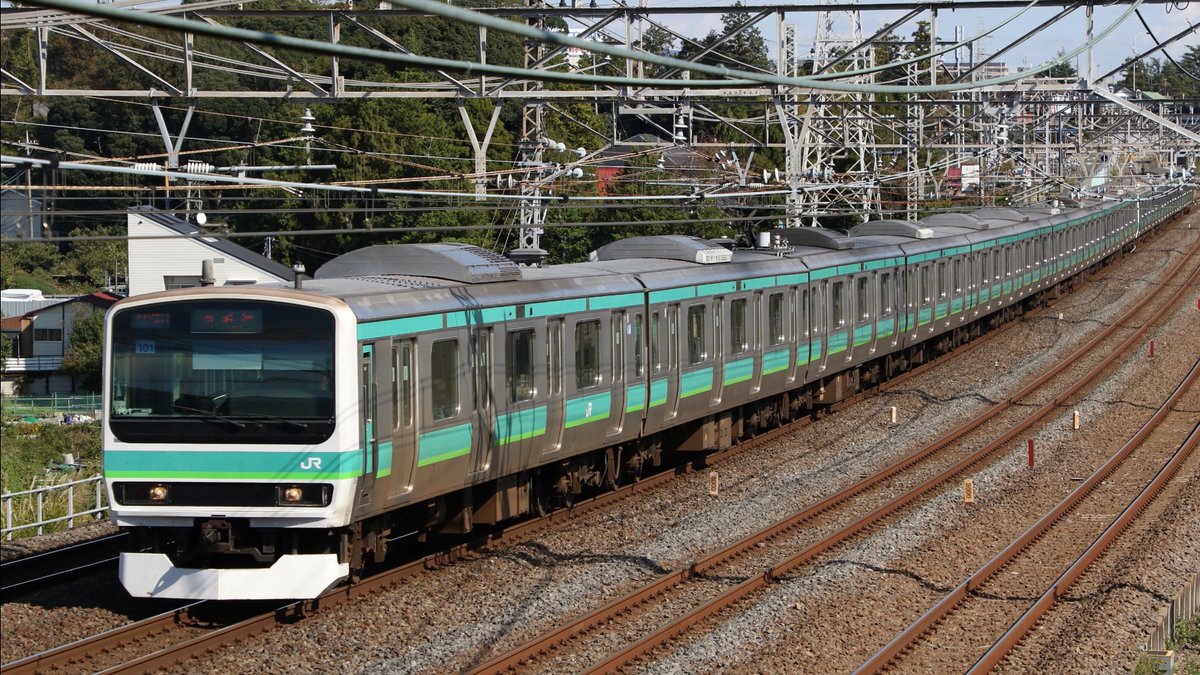 15両モノクラスの編成美】 常磐線・上野東京ラインで活躍する2色の