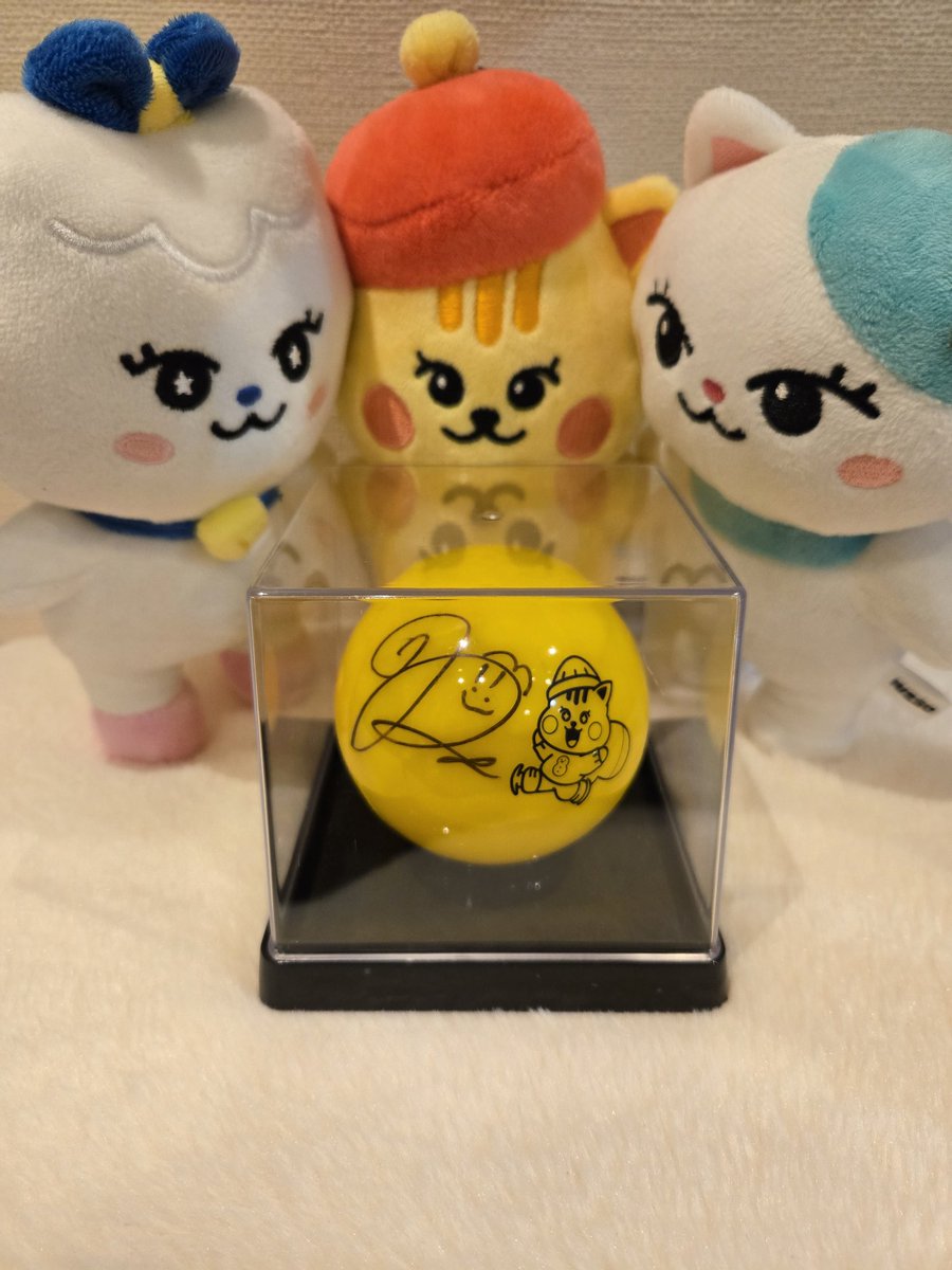 1年前の今日🌼 AWAKE❄宮城2日目 リクがスタンドに向けて投げてくれ