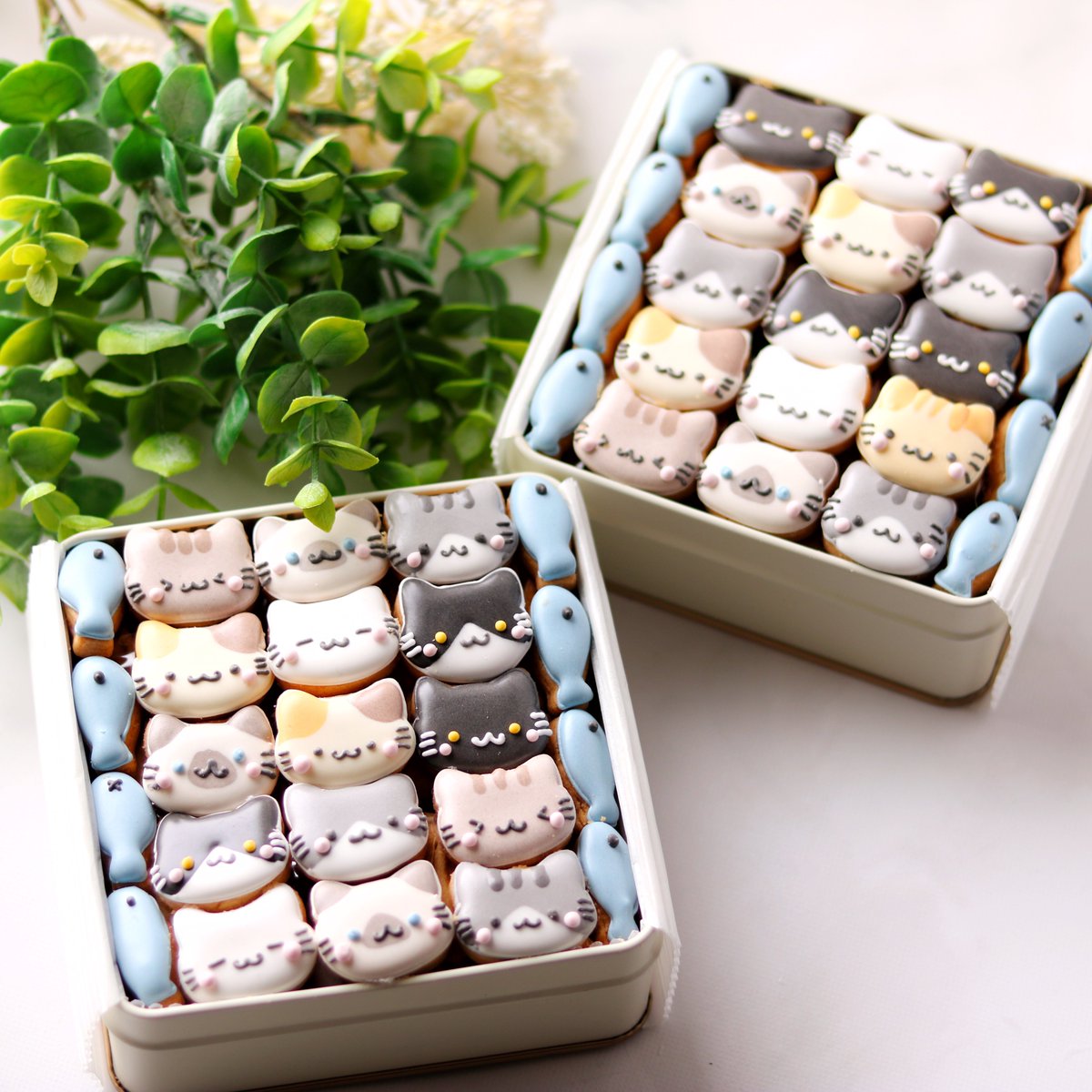 もちぴょん (@mochipyon) / Posts / X