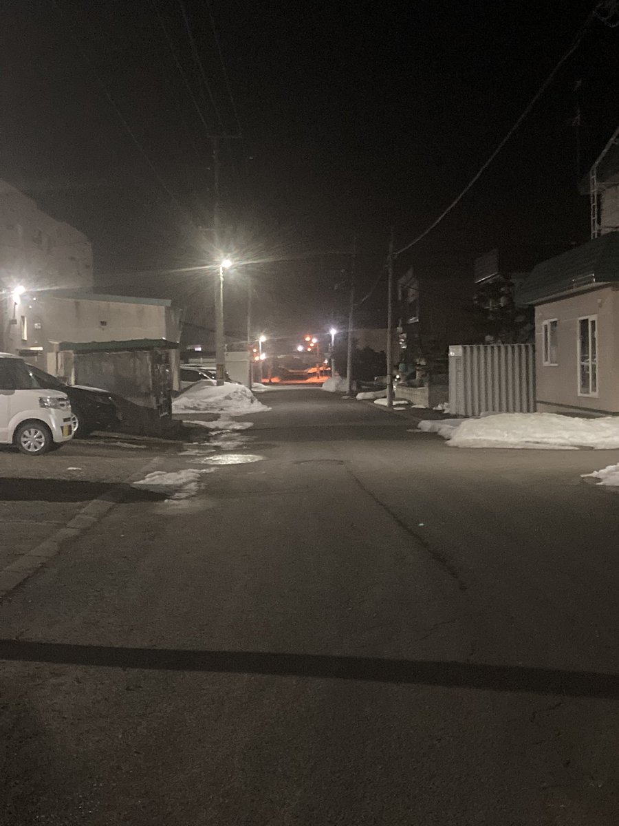 もう春ですね(( 住宅街で路面出てるなんて… 例年なら5月でも完全に路面