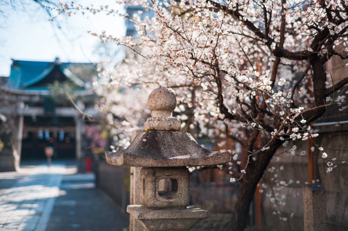 みかづき (@mic_azuki) / Posts / X