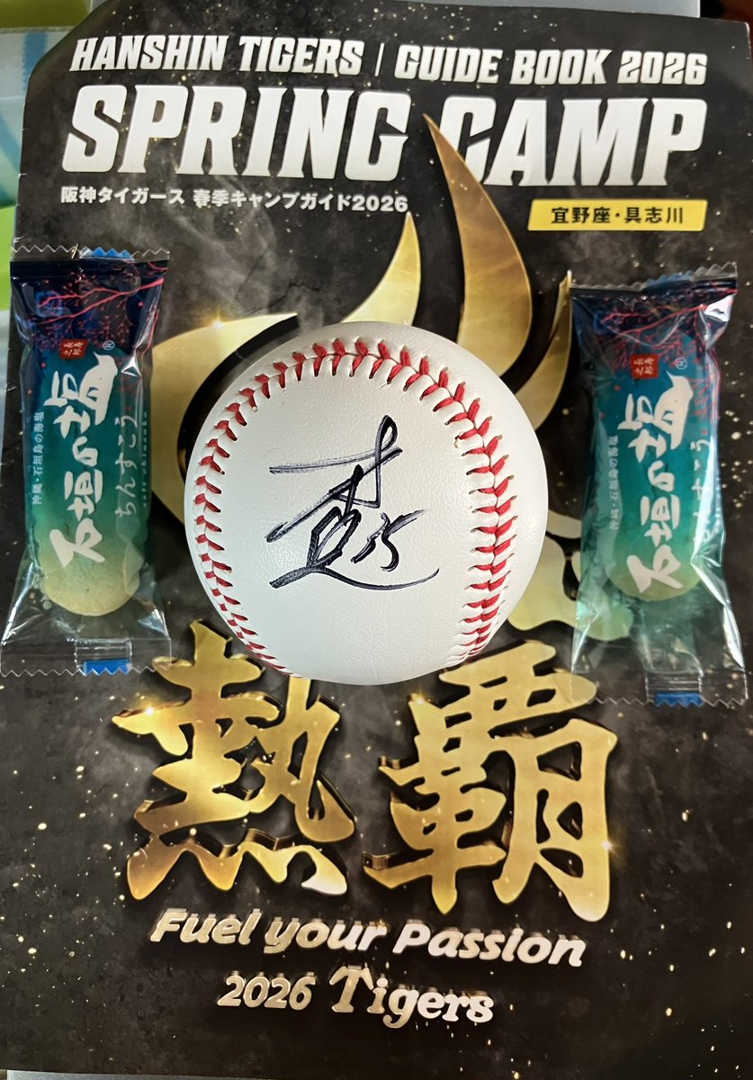 仲良くしていただいてる方より阪神タイガース沖縄キャンプのお土産に才