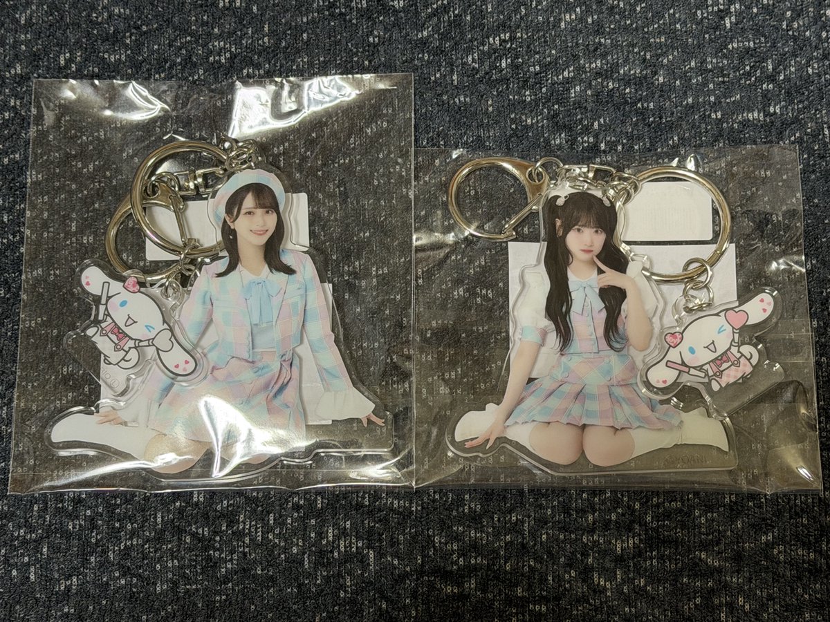 樹愛羅ちゃんと舞香ちゃんのシナモンアクキー届いた🩷🤍 可愛すぎる૮