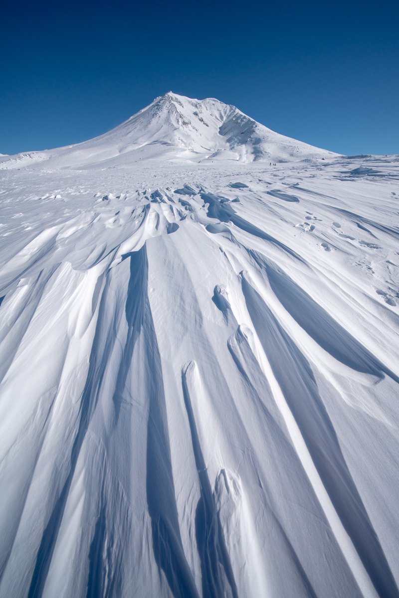 風に削られた雪面が、 一直線に山へと続く。 📍Hokkaido, Japan