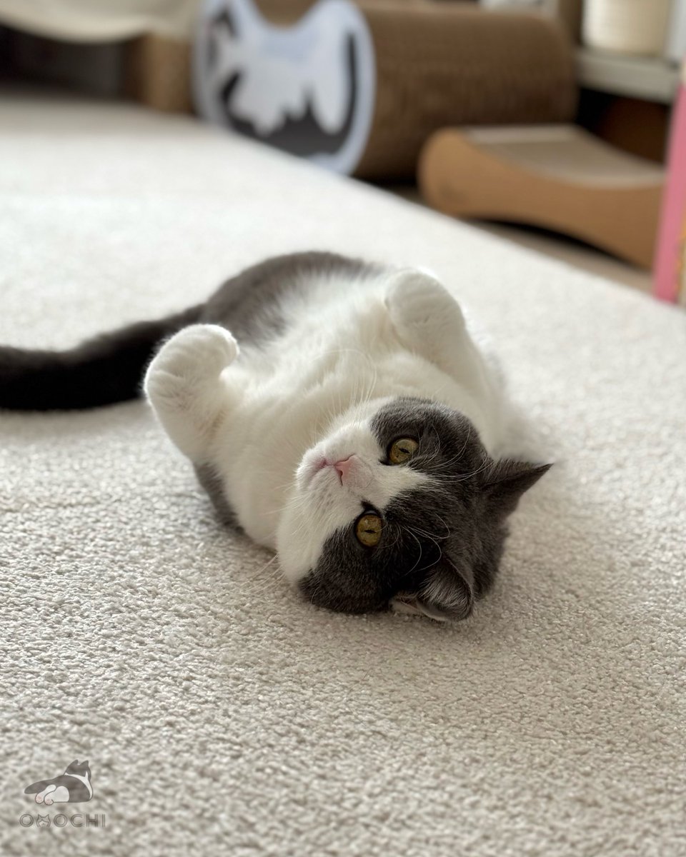 これは静止画です