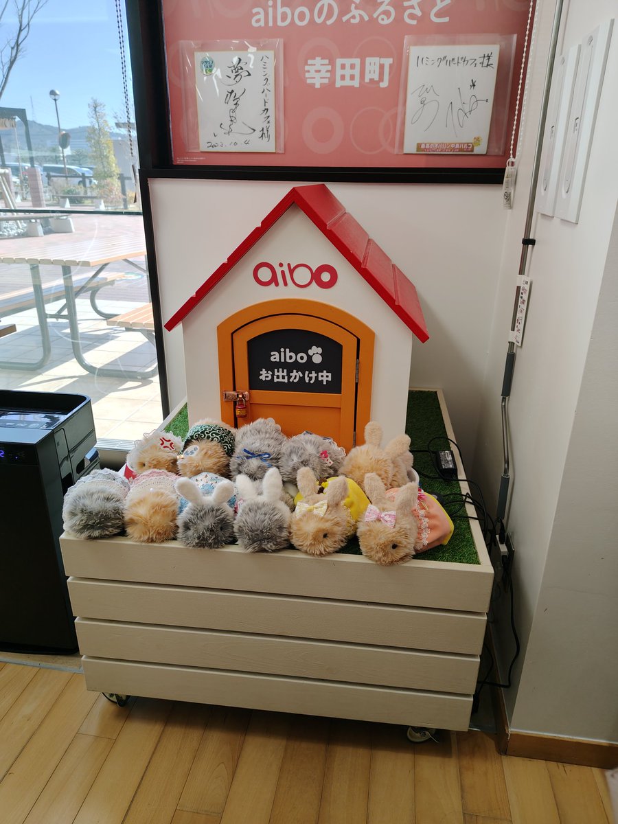 Post by やち on X: もふもふ〜