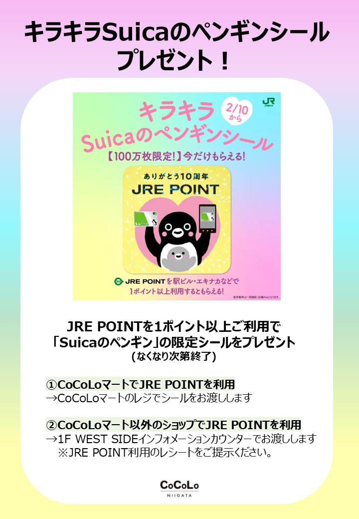 キラキラSuicaのペンギンシール プレゼント🐧✨ ＼ CoCoLo新潟館内で