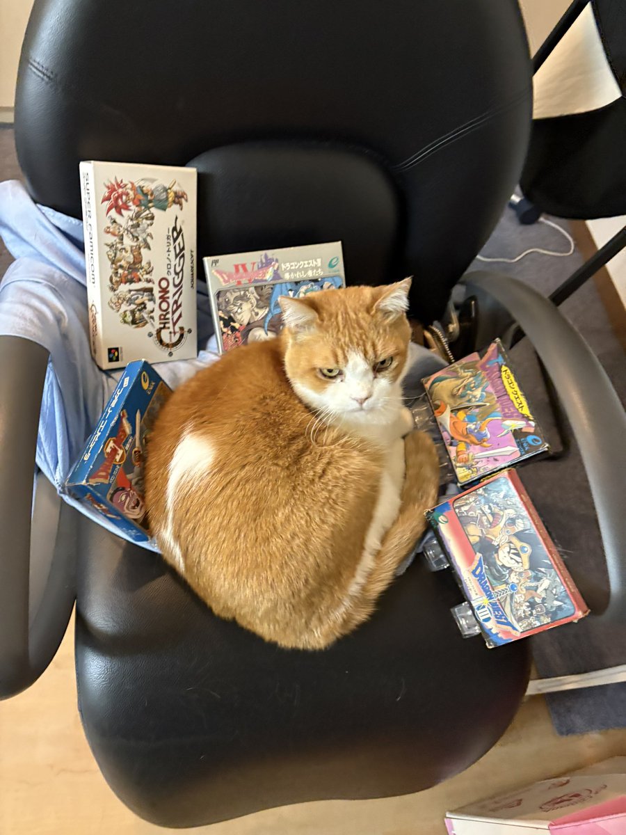 Kazu 🪼 (@kazu9193) / Posts / X