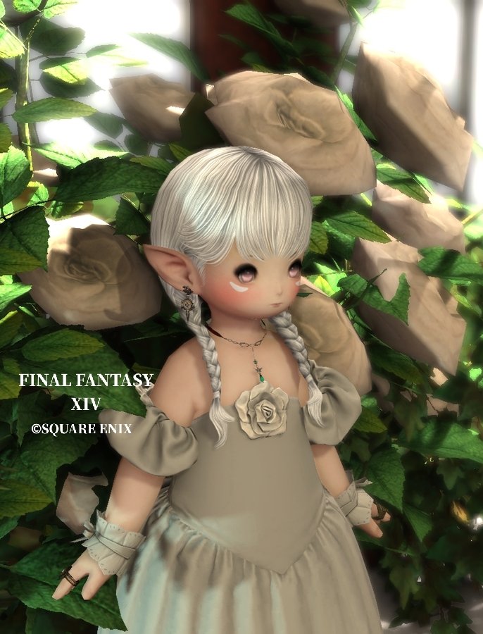 おはララです🌞 金曜日にゃ！ 今日も素敵な1日になりますように·͜·ᰔᩚ