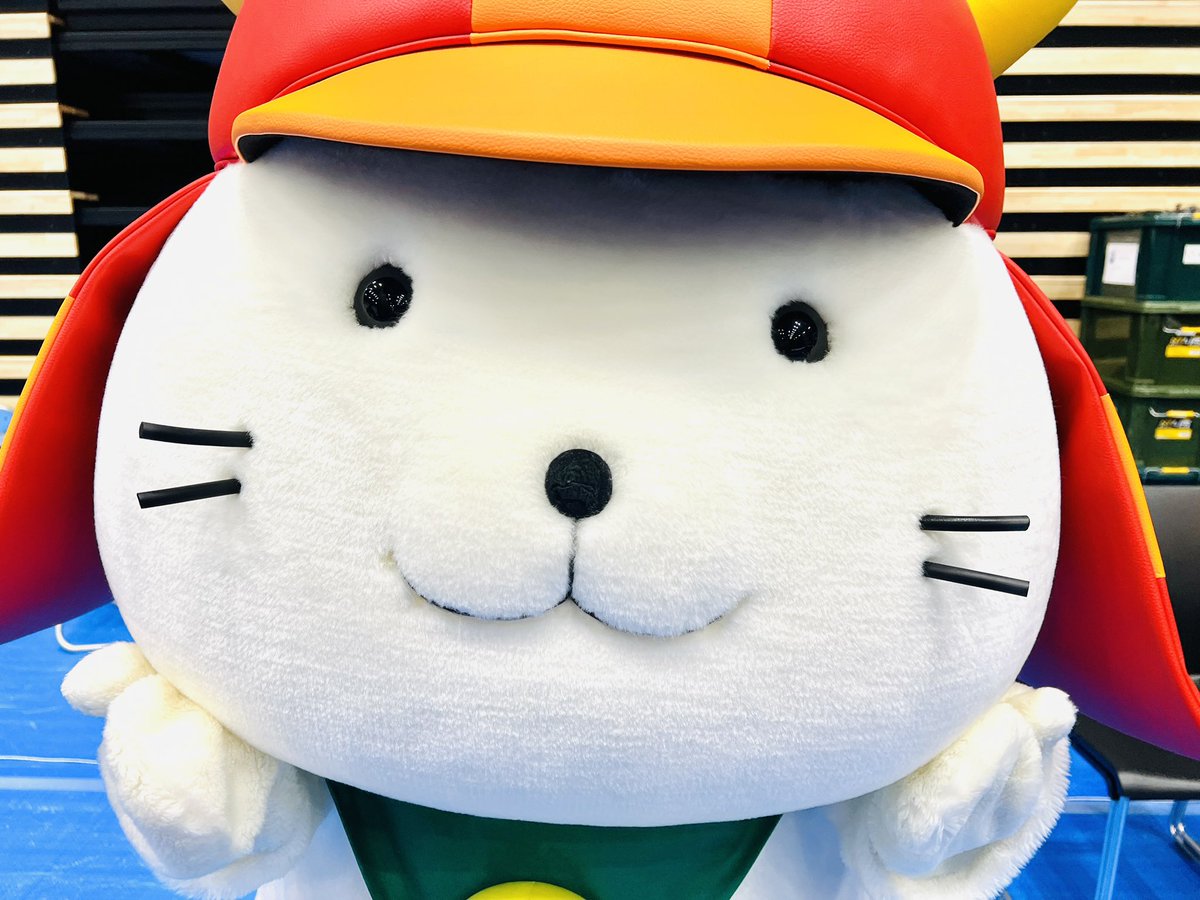 空色CAT @場面緘黙症 ASD (@cat_sorairo) / Posts / X