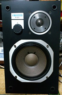 PIONEER S-X4G : ぶつぶつ