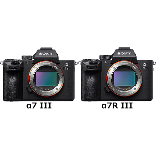 α7 III」と「α7R III」の違い - フォトスク