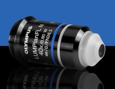 2955.jpg?quality=100