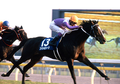 未来に語り継ぎたい名馬 JRAレーシングビュアー