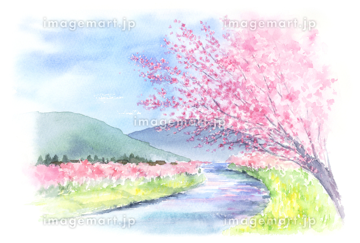 山と川と桜の風景 水彩画のイラスト素材 [132724155]｜毎月1点無料