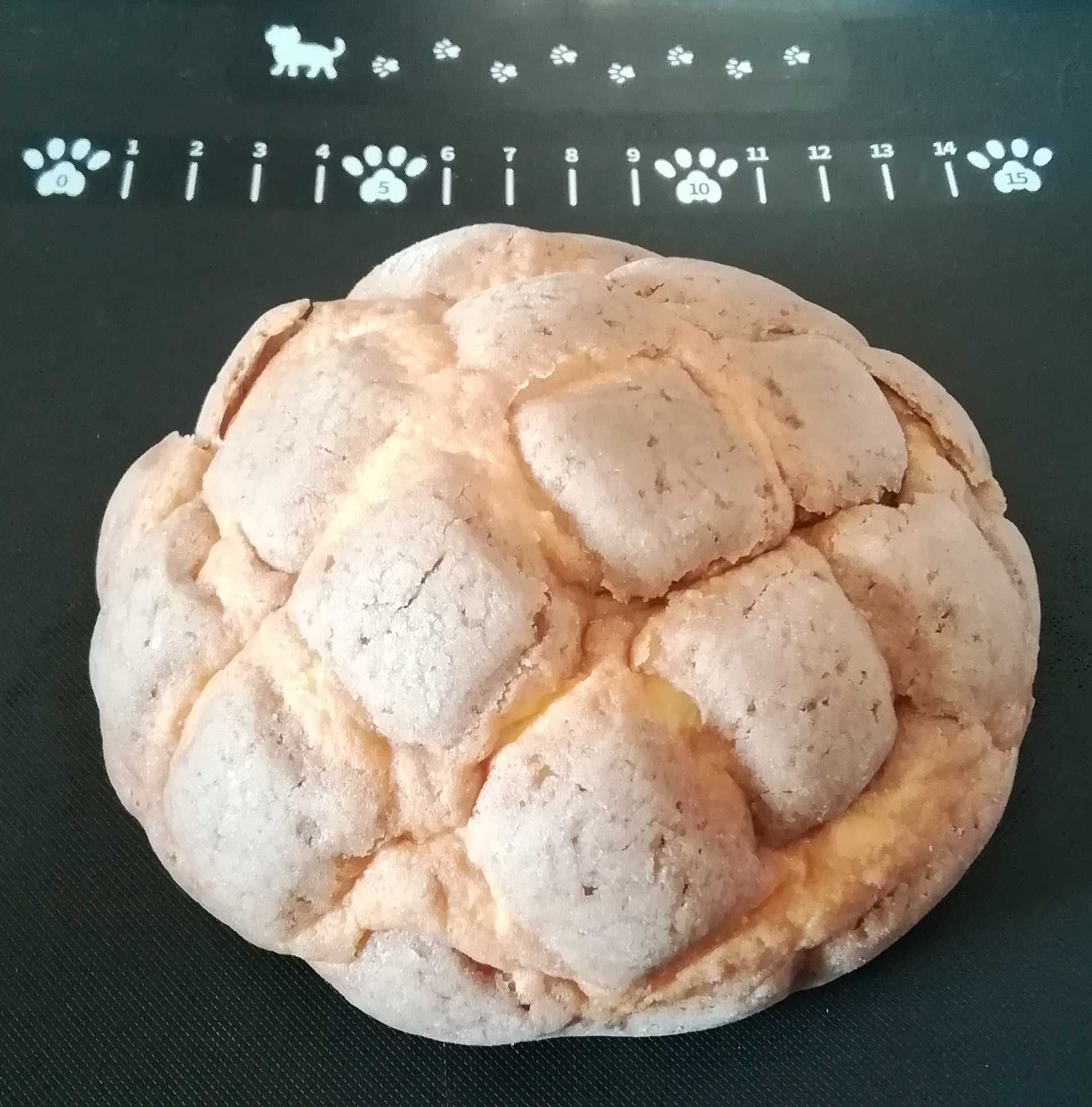 Pasco ホイップメロンパン ミルクチョコ - 今月のパン