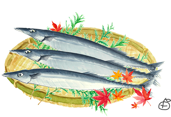 売られ方までおしゃれに＊秋刀魚 - 高塚由子 の 水彩画 魔法の筆