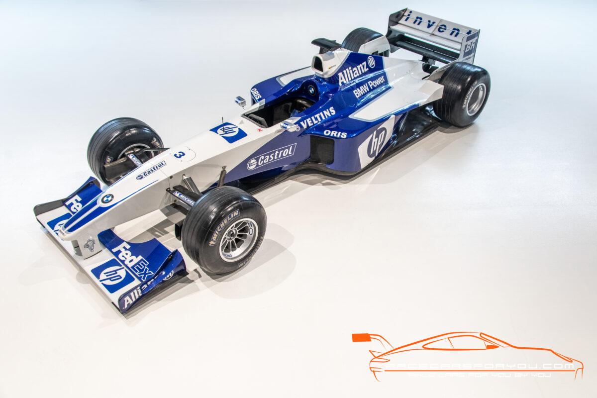 F1 BMW WILLIAMS FW23 - Race Cars For You