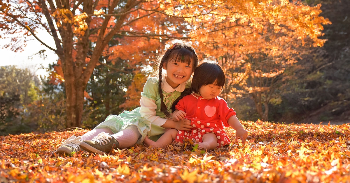 紅葉を上手に撮るテクニックとは？おすすめのカメラとレンズも解説