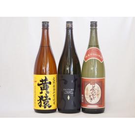 贈り物セット麦焼酎 2本セット(黒木本店 百年の孤独 麦 720ml