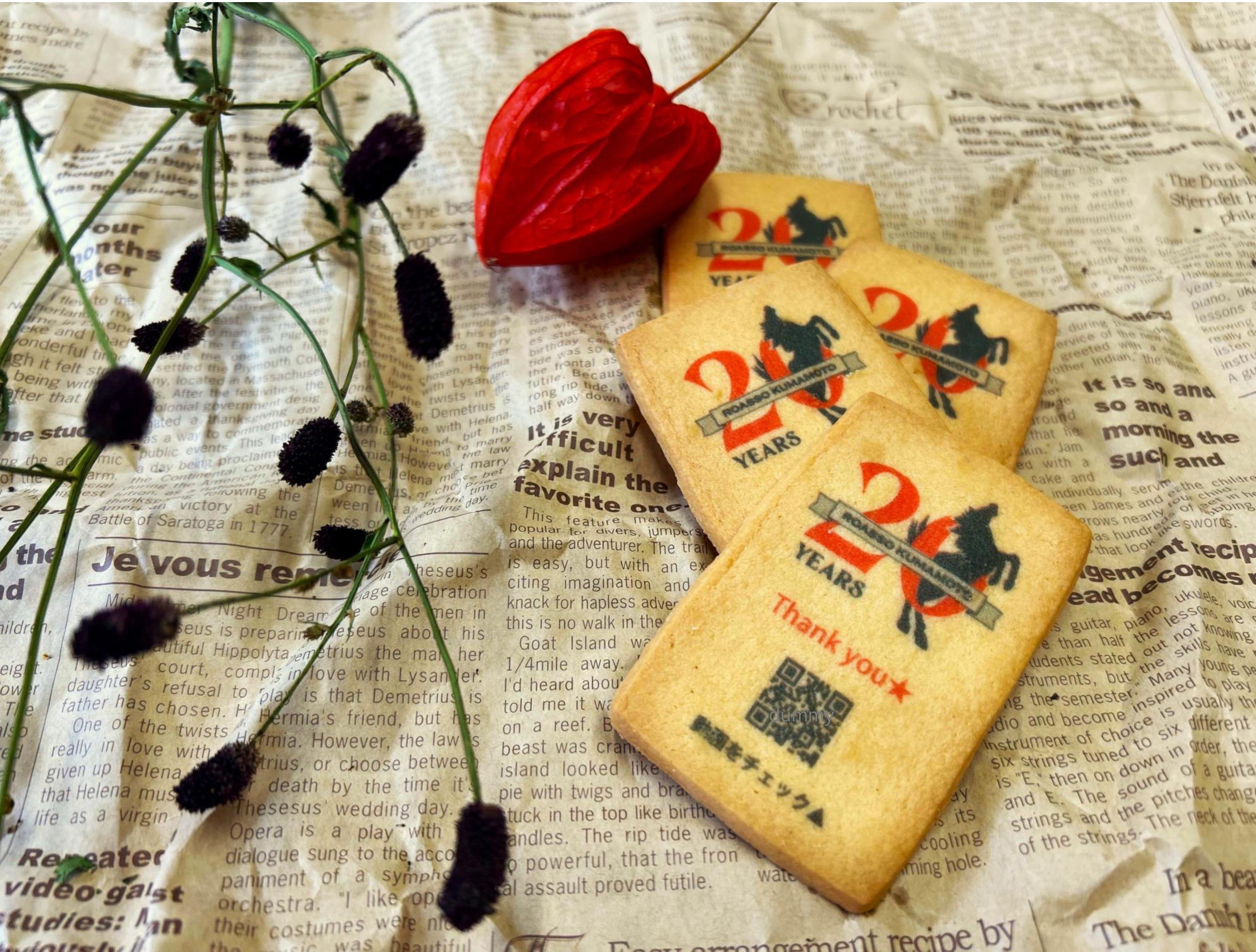 ロアッソ熊本 公式サイト｜ROASSO KUMAMOTO OFFICIAL WEBSITE