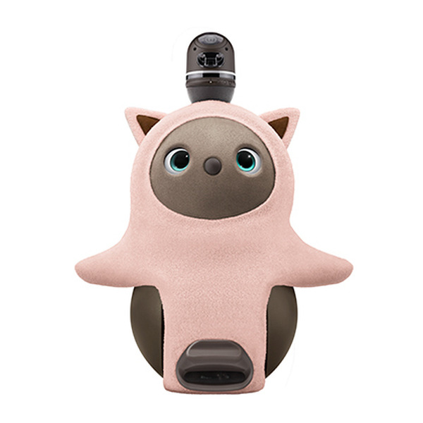 例年即日完売の大人気商品「ねこみみニット」が今年も登場！4色に加え