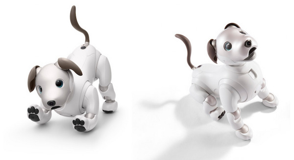 オリックス・レンテックが「aibo」(アイボ)の法人向けレンタルサービス