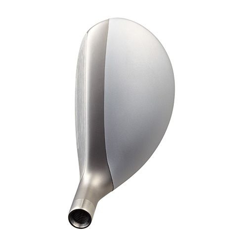 Roddio,ロッディオ | RODDIO