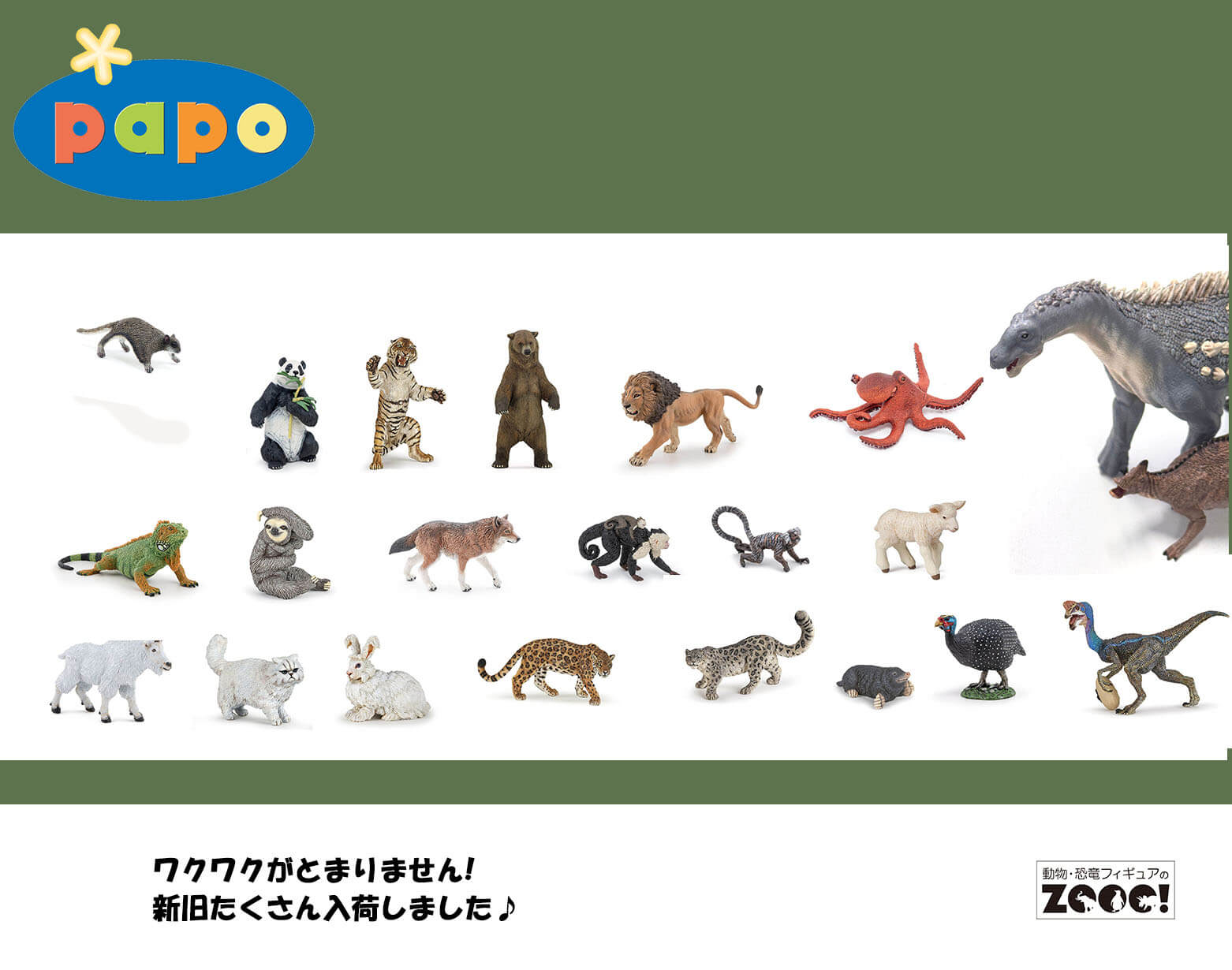 PAPO新入荷のお知らせ☆（2025.4.22）