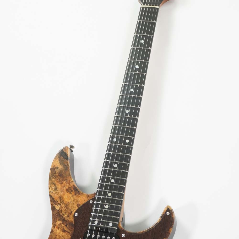 Sagoの日！2ハムギターモデル特集 | Sago New Material Guitars