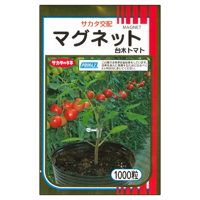 トマト台木 マグネット｜種（タネ）,球根,苗,資材,ガーデニンググッズ